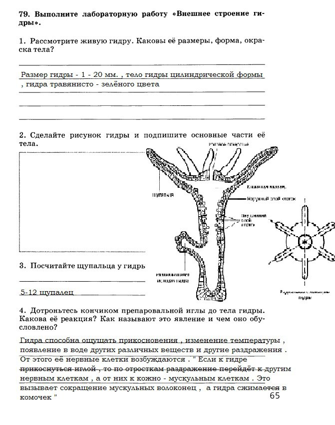 Кракен как попасть